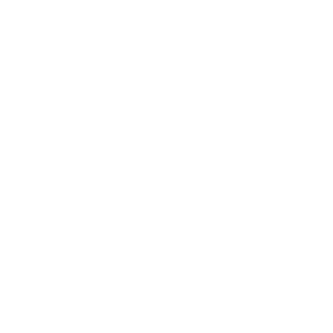 Megaphone Icon